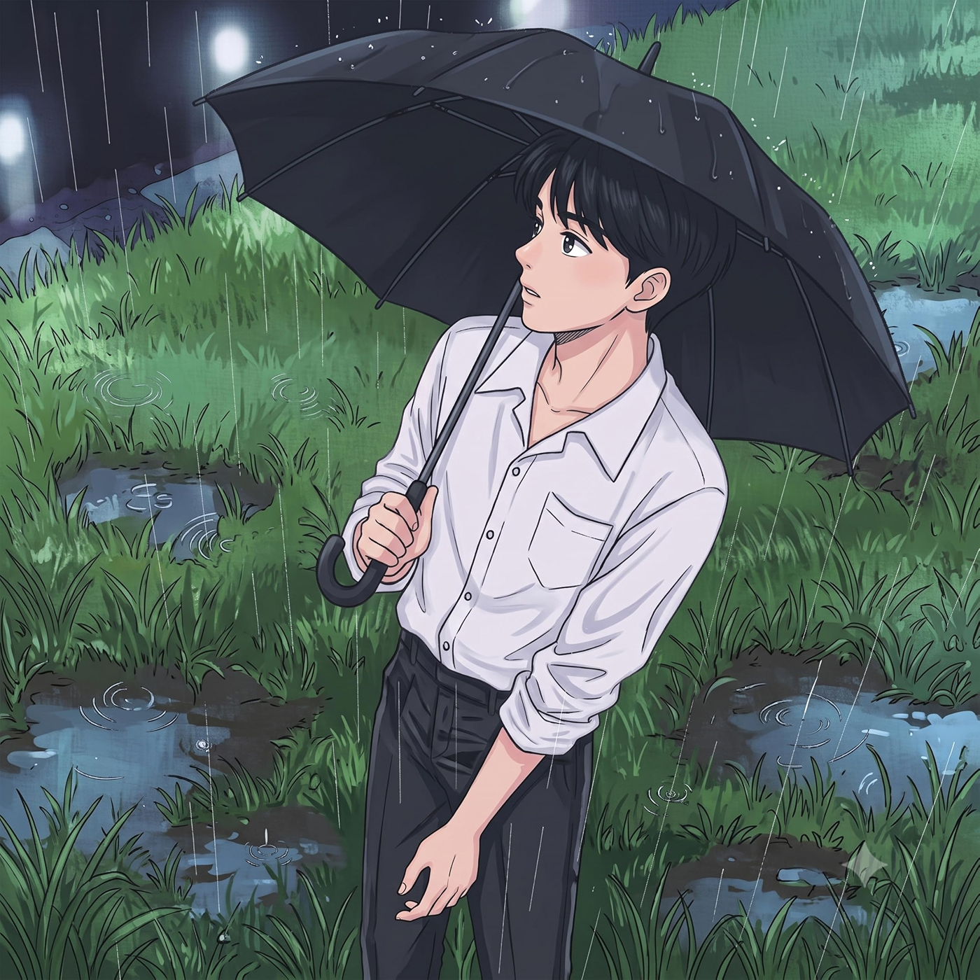 Image Cover